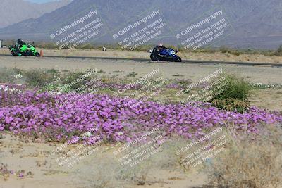 media/Feb-04-2023-SoCal Trackdays (Sat) [[8a776bf2c3]]/Turn 15 Inside Blooming (1050am)/